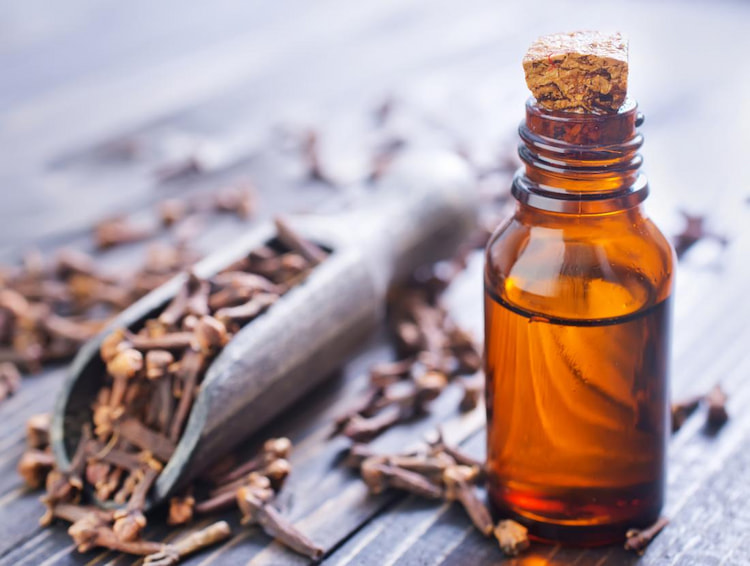 Clove oil for toothache